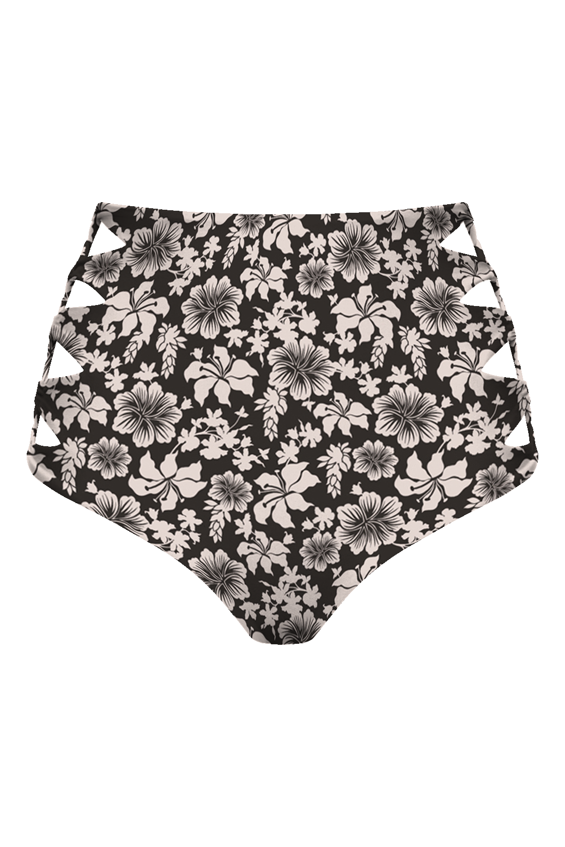 QUEENS BOTTOM - FALL 2024