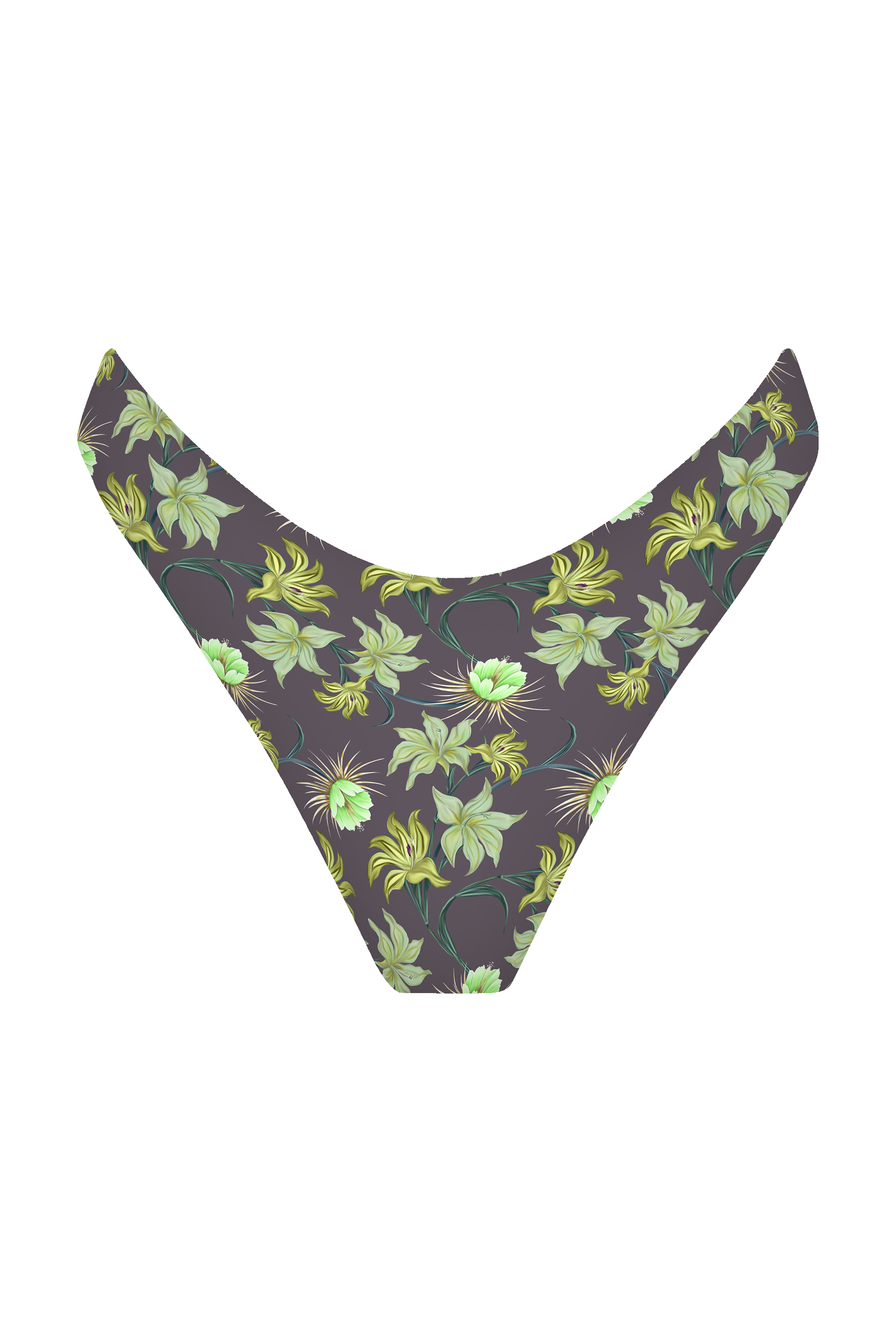 BOBBI BOTTOM - RESORT 2025