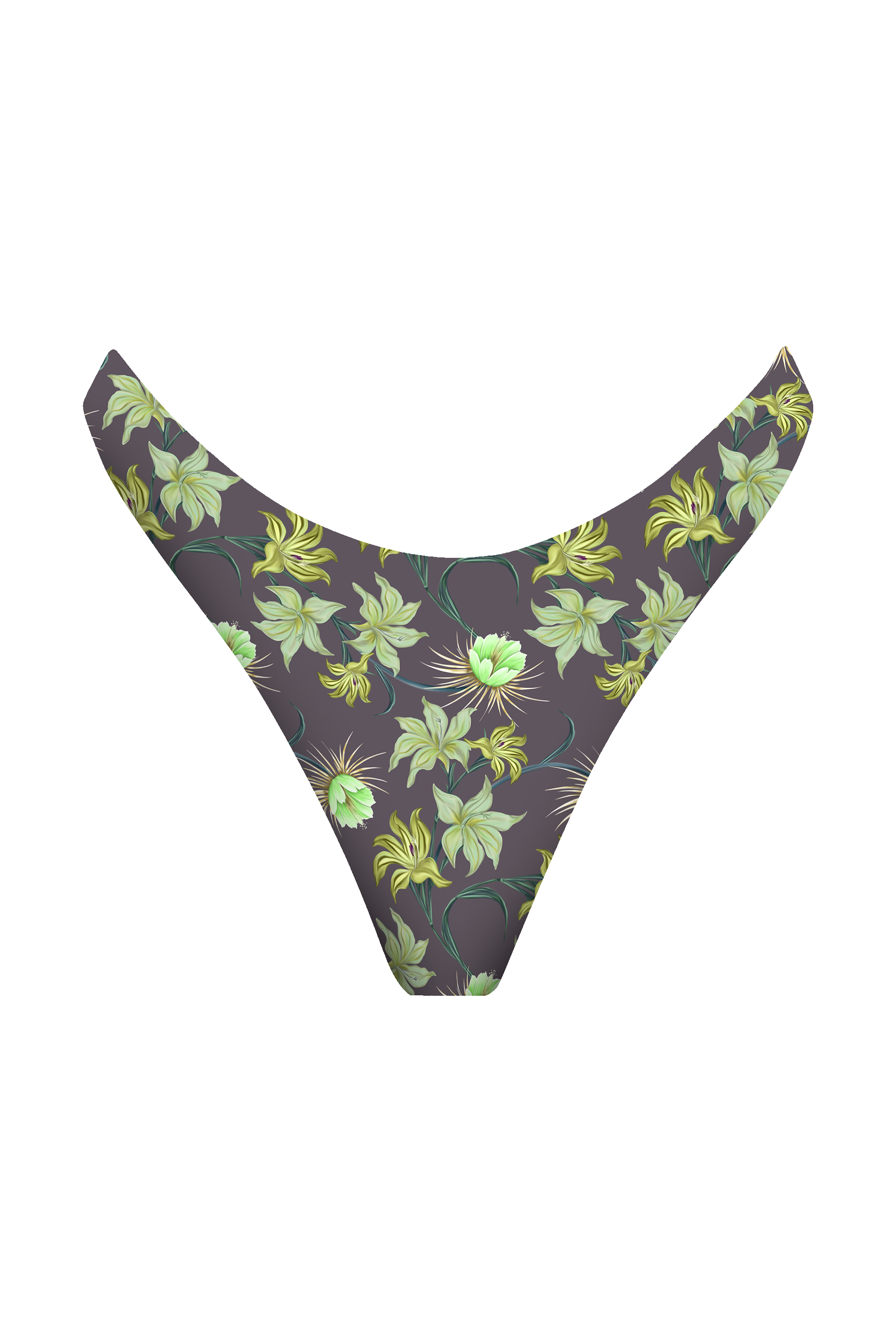 OSLO BOTTOM - RESORT 2025