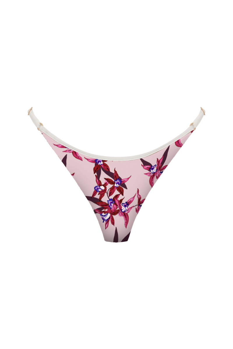 NEEMA BOTTOM - FALL 2023