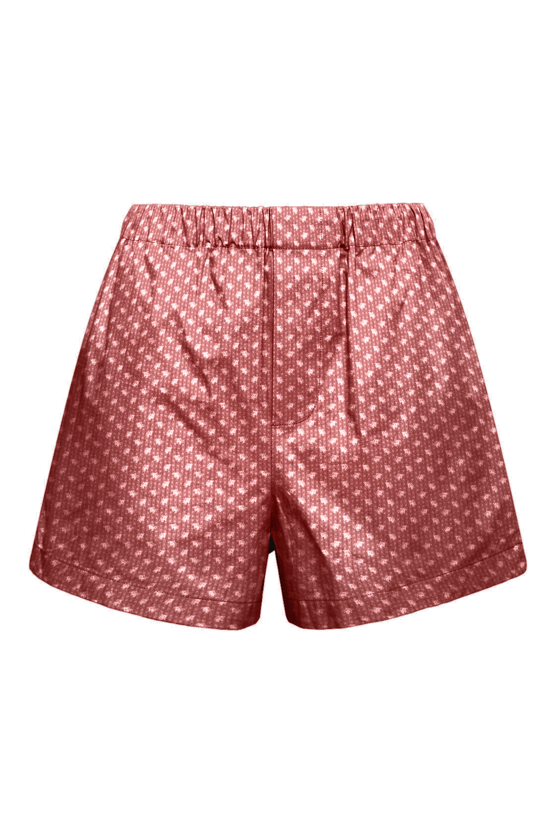 MOLLY SHORT - FALL 2024